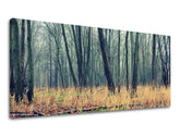 Zidna slika PANORAMA DRVEĆE