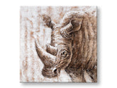 Ručno oslikana slika na zidu NOSOROG 70x70 cm – 3D perspektiva platna na drvenom okviru | 100 % original | akril na platnu ARTMIE | Papilora.sk
