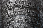Oslikana zidna slika SLON 1 dio CWFAN021 - 100x70 cm