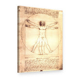 Slika na platnu Vitruvijev čovjek – Leonardo da Vinci, 3D prikaz