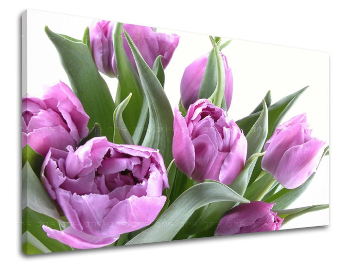 Zidna slika CVIJEĆE TULIPANI