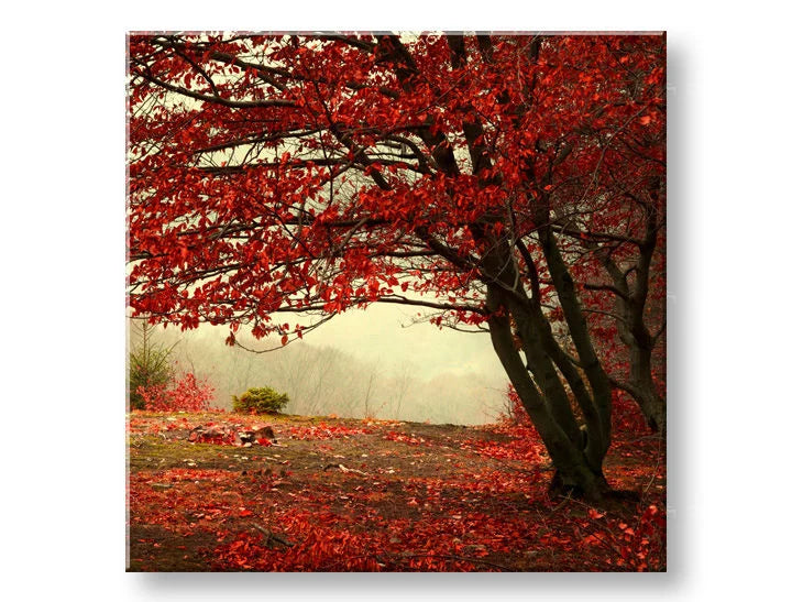 Zidna slika DRVEĆE Popust 60 % 50X50 cm - slika 2
