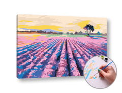 Slikanje po brojevima LEVANDO POLE - male težine