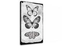 Slika na platnu MOTYLES 1 dio XOBCH20477SDE1