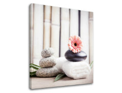 Slika na platnu FENG SHUI_053-12