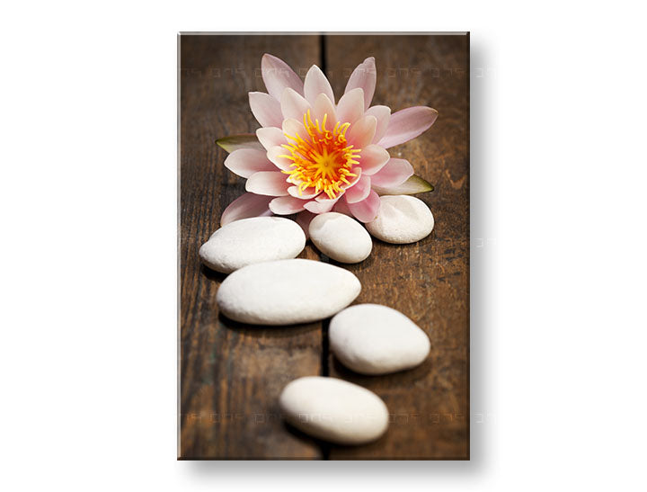 Slika na platnu FENG SHUI_059-11