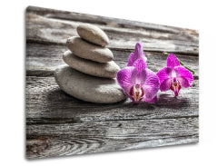 Slika na platnu FENG SHUI_060-11