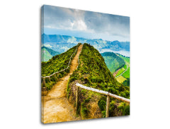 Zidno slikarstvo PLANINE_