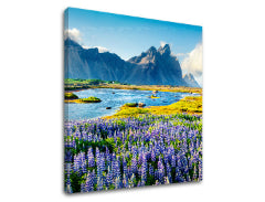 Zidna slika LÚKA_047-12