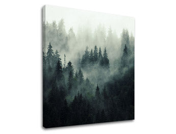 Zidno oslikavanje PLANINE_