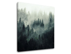 Zidno oslikavanje PLANINE_