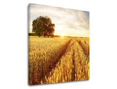 Zidna slika LÚKA_053-12