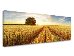 Zidna slika LÚKA_053-13