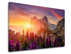 Zidno oslikavanje PLANINE_