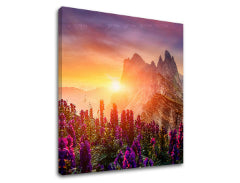 Zidno oslikavanje PLANINE_