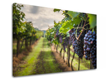 Zidno slikarstvo HROZNO_091-11