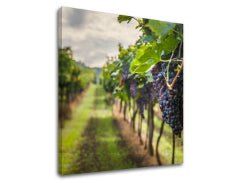 Zidno slikarstvo HROZNO_091-12