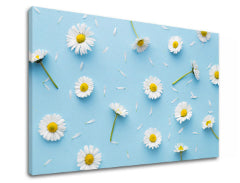 Zidna slika BIJELO CVIJEĆE_163-11