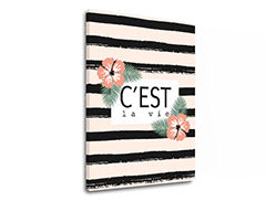 Zidna umjetnost s tekstom C est la vie