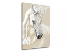 Slika na platnu VELIČANSTVO BIJELI Golub