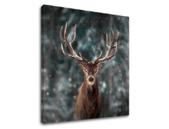 Zidna slika ŽIVOTINJE_052-12