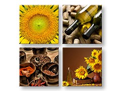 Zidna slika KOLAŽ 4 dijela XOBKOL15E42