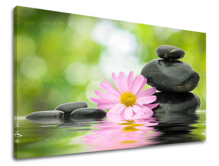 Zidna slika FENG SHUI FS009E11