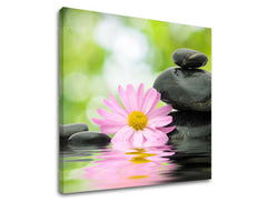 Zidna slika FENG SHUI FS009E12