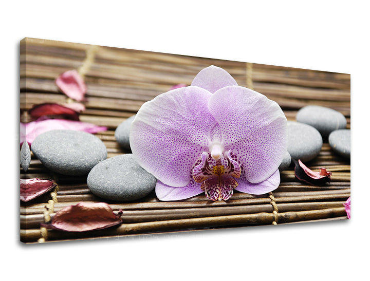 Zidna slika PANORAMA FENG SHUI FS010E13