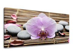 Zidna slika PANORAMA FENG SHUI FS010E13