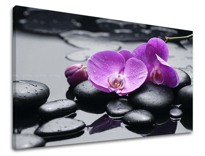 Zidna umjetnost FENG SHUI FS011E11