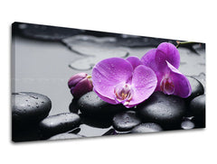 Zidna slika PANORAMA FENG SHUI FS011E13