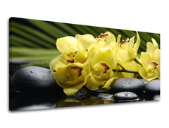 Zidna slika PANORAMA FENG SHUI FS012E13