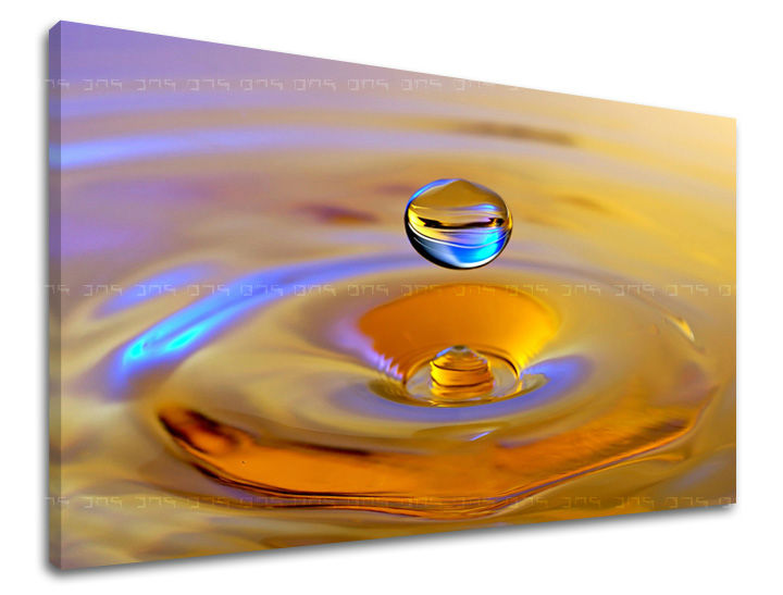 Zidna umjetnost FENG SHUI FS016E11