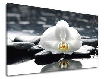 Zidna umjetnost FENG SHUI FS018E11