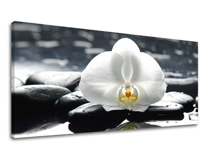 Zidna slika PANORAMA FENG SHUI FS018E13