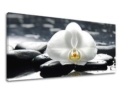 Zidna slika PANORAMA FENG SHUI FS018E13