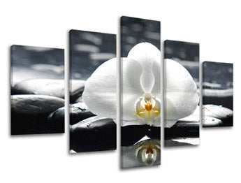 5-dijelna zidna slika FENG SHUI FS018E50