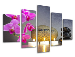 5-dijelna zidna slika FENG SHUI FS023E50