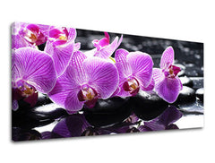 Zidna slika PANORAMA FENG SHUI FS024E13