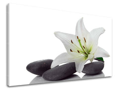 Zidna umjetnost FENG SHUI FS029E11