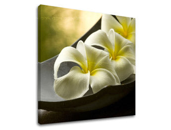 Zidna umjetnost FENG SHUI FS031E12