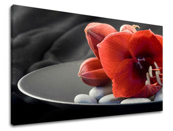 Zidna umjetnost FENG SHUI FS032E11