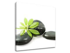 Zidna umjetnost FENG SHUI FS041E12