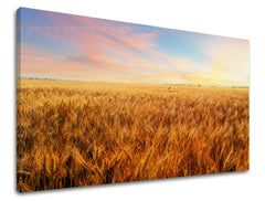 Zidna slika KR008E11