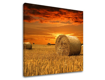 Zidna slika LAND KR034E12