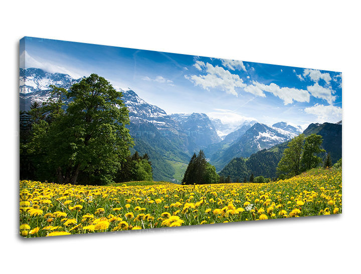 Zidna slika PANORAMA KRAJOLIK KR036E13