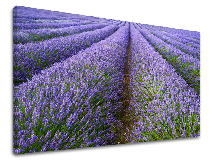 Zidna slika KRAJOLIK