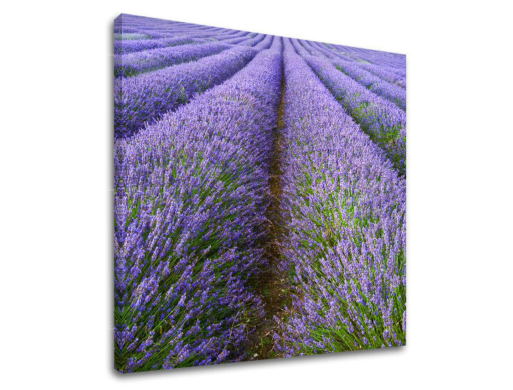 Zidna slika KRAJOLIK KR039E12