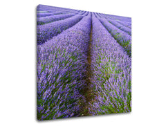 Zidna slika KRAJOLIK KR039E12